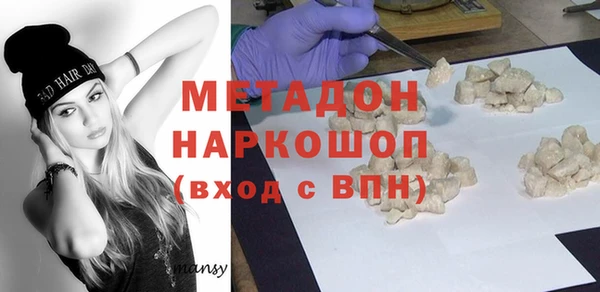 индика Инта