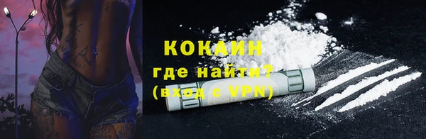 индика Инта