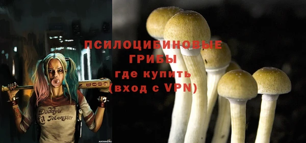 индика Инта