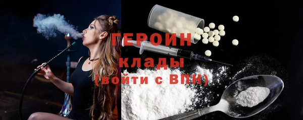 индика Инта