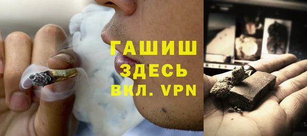 индика Инта