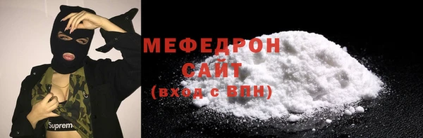 индика Инта