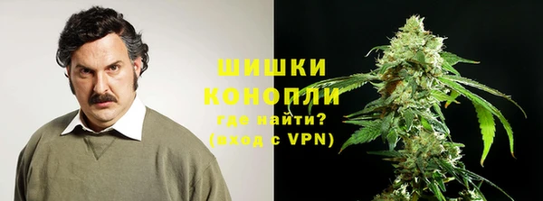 индика Инта