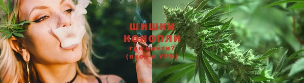 индика Инта