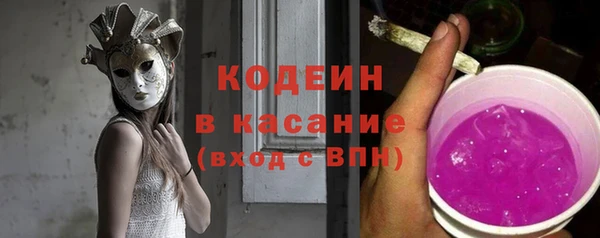 индика Инта