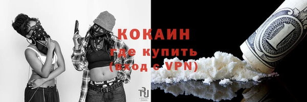 индика Инта