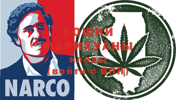 индика Инта