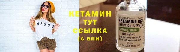 индика Инта