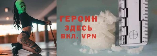 индика Инта