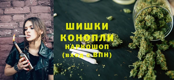 дурь Инсар