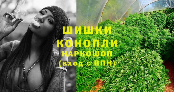 дурь Инсар