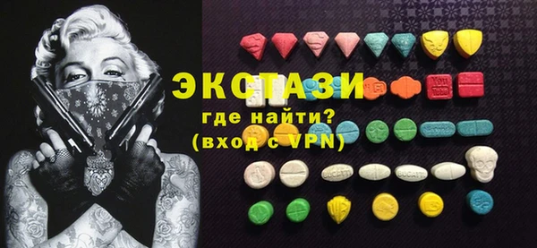 индика Инта