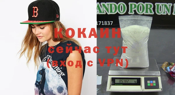 индика Инта