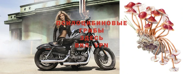 дурь Инсар
