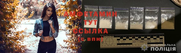 индика Инта