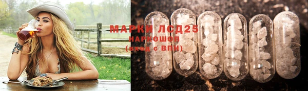 дурь Инсар