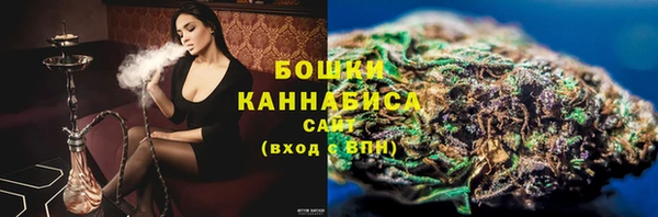 дурь Инсар