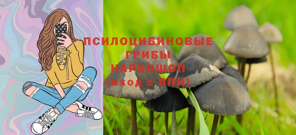 дурь Инсар
